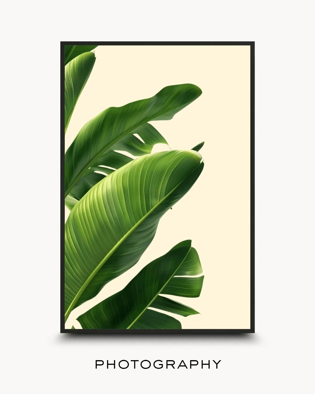 Collection cover for Photography featuring a high-resolution close-up of lush green tropical leaves. Minimalist botanical photography on a soft cream background, styled in a Noir Black frame.