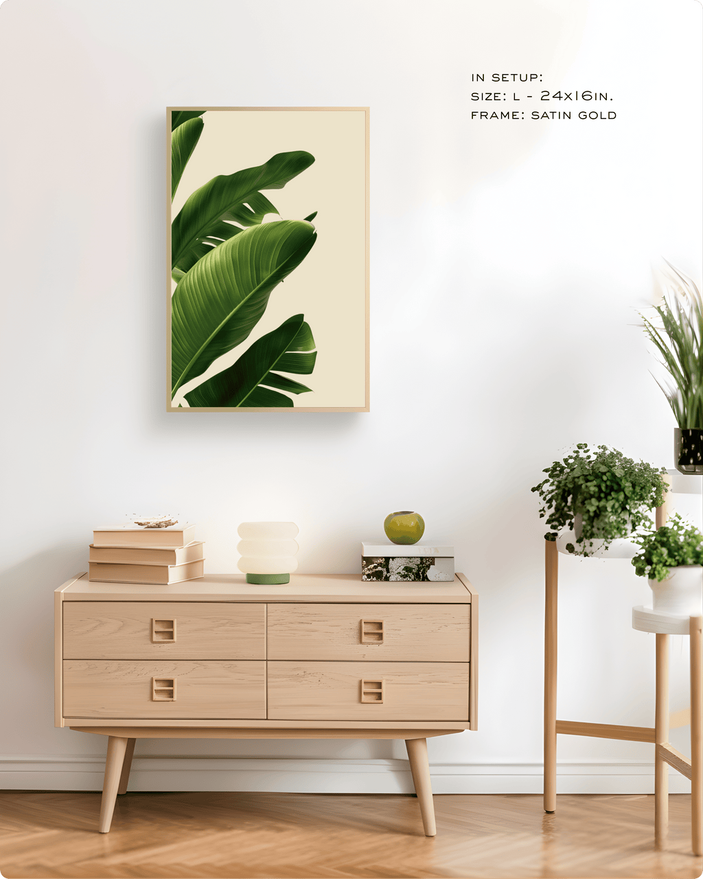 Photography: Houseplants - १