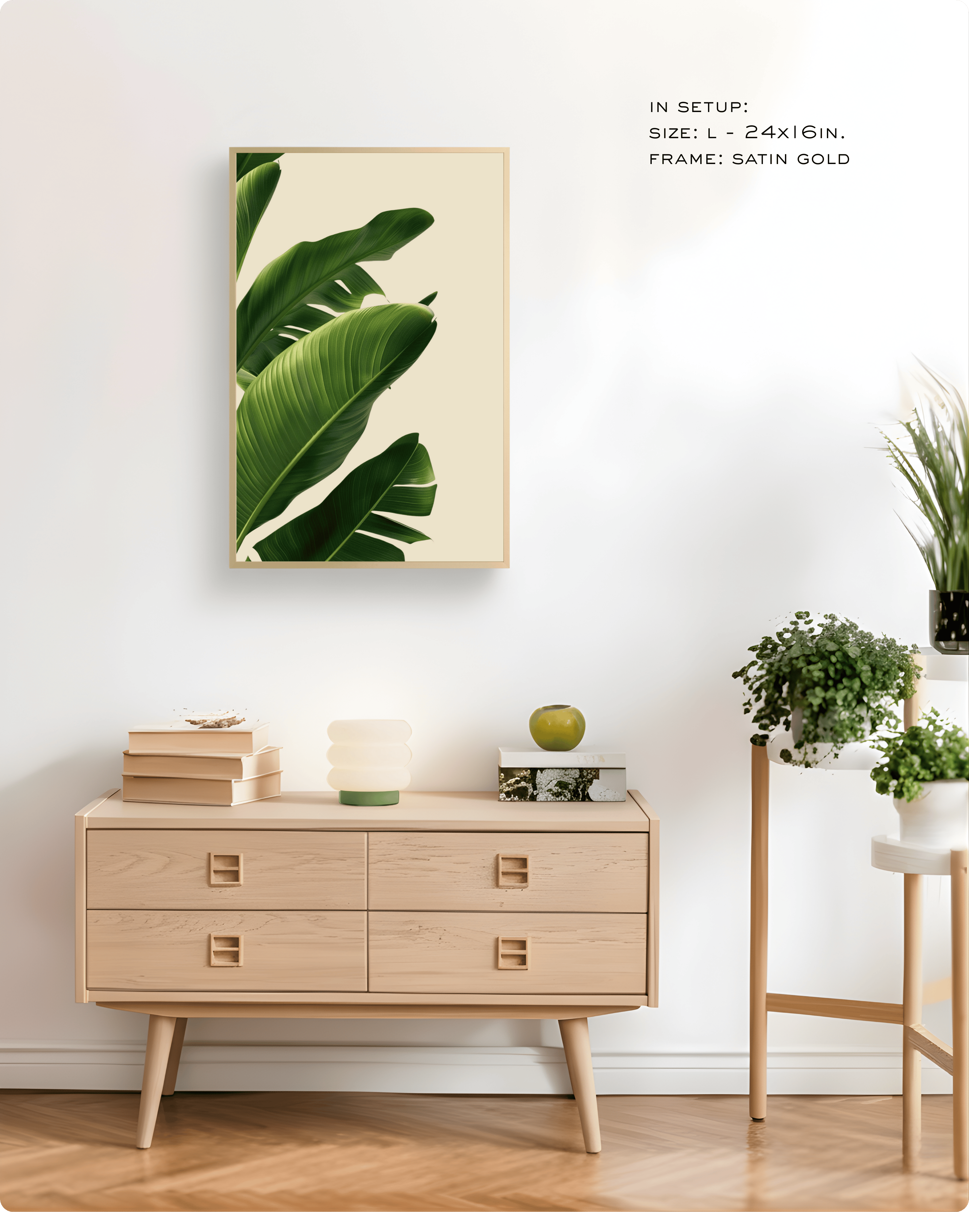 Photography: Houseplants - १