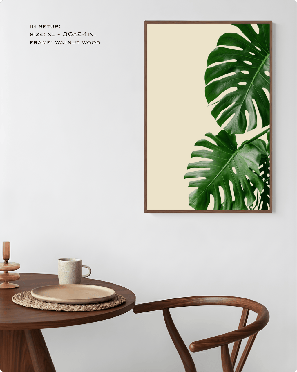 Photography: Houseplants - ३