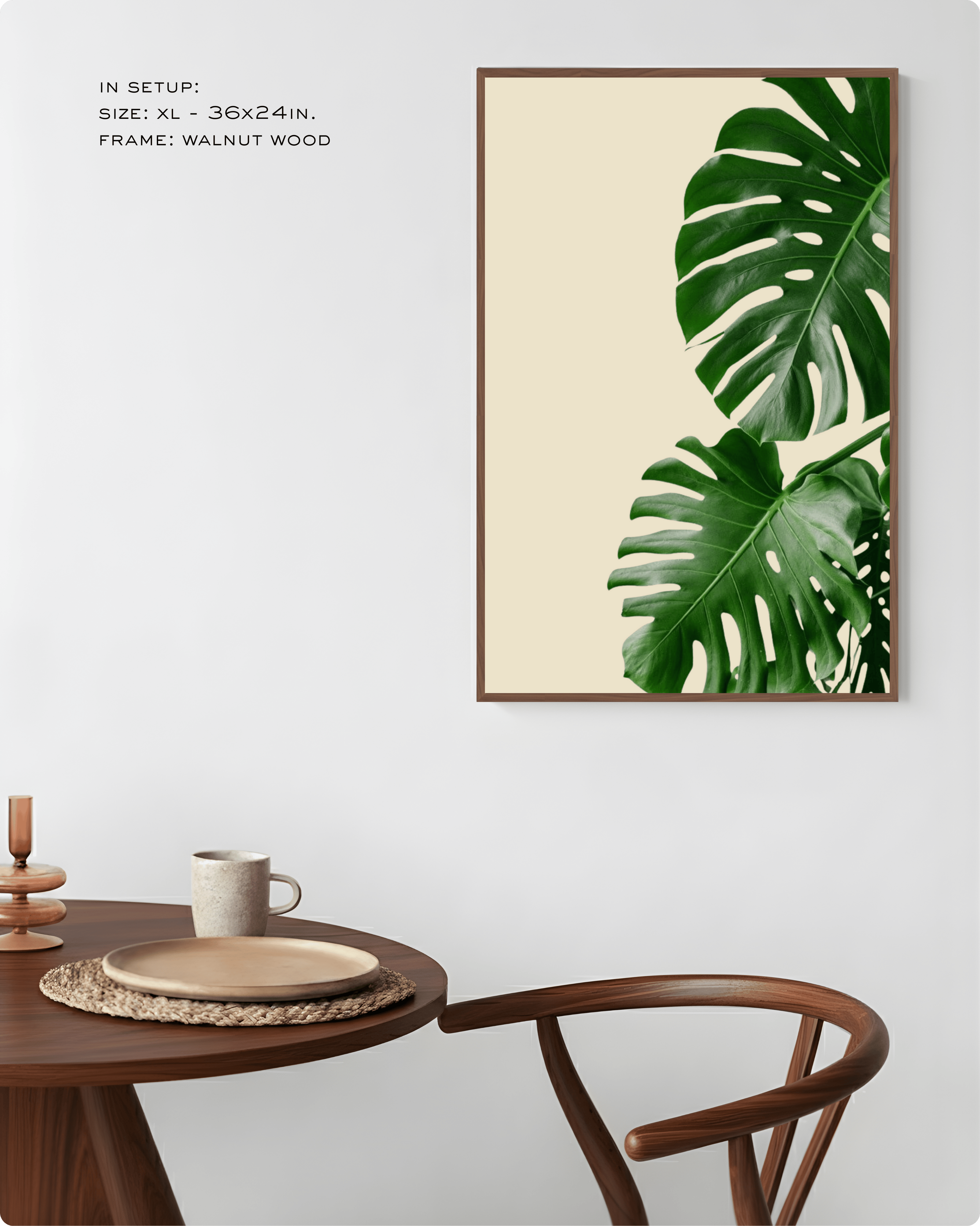 Photography: Houseplants - ३