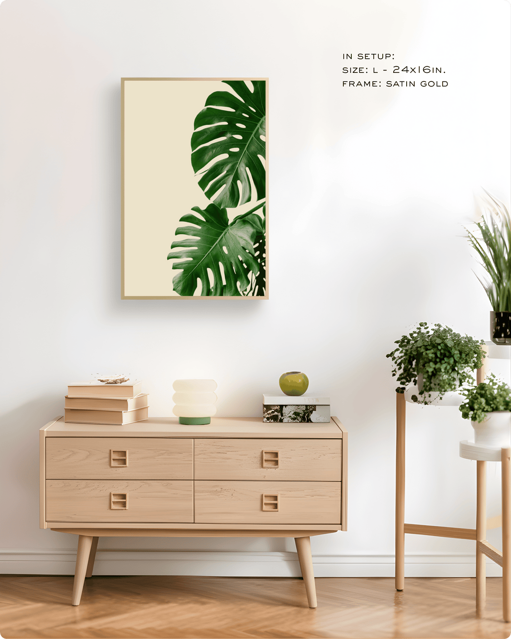 Photography: Houseplants - ३