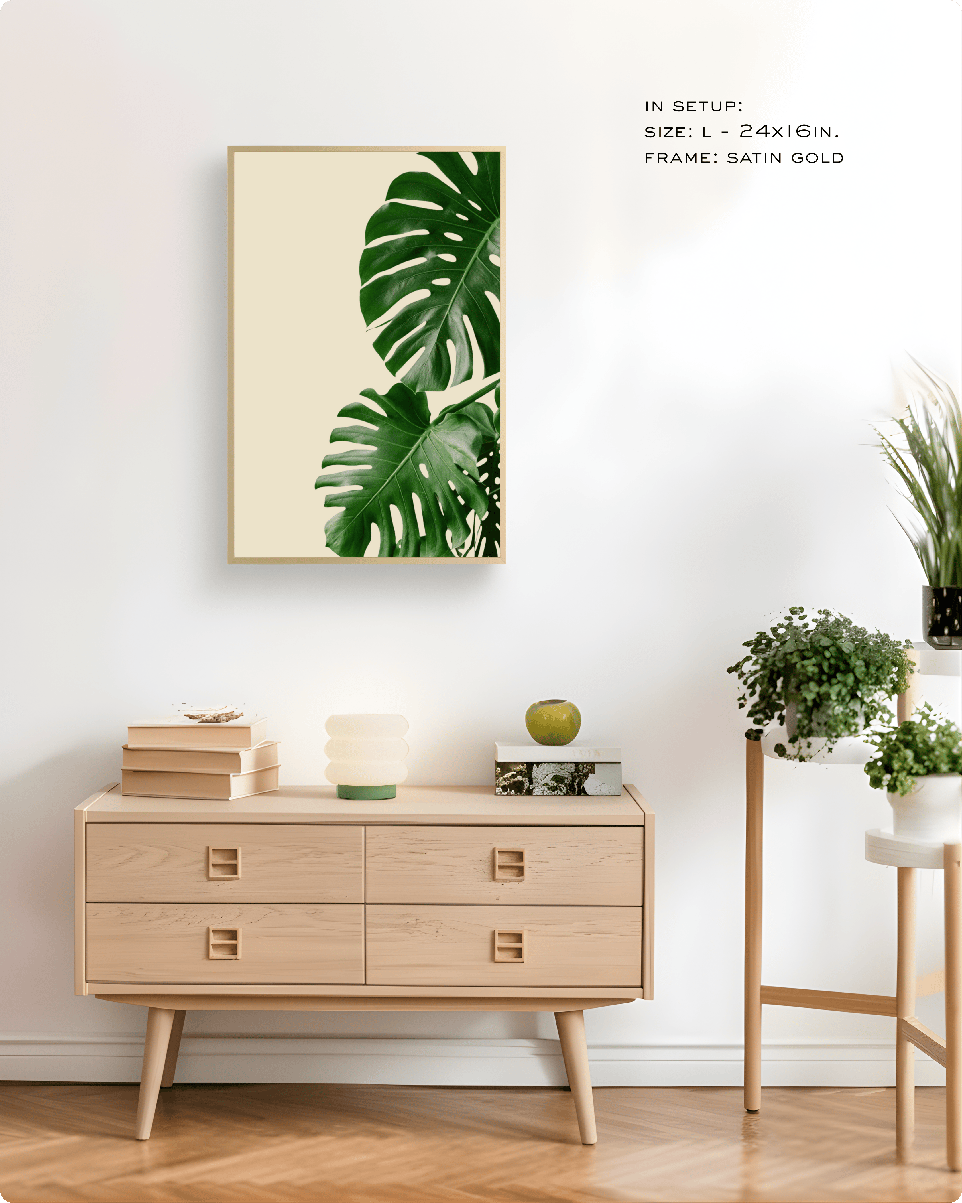 Photography: Houseplants - ३