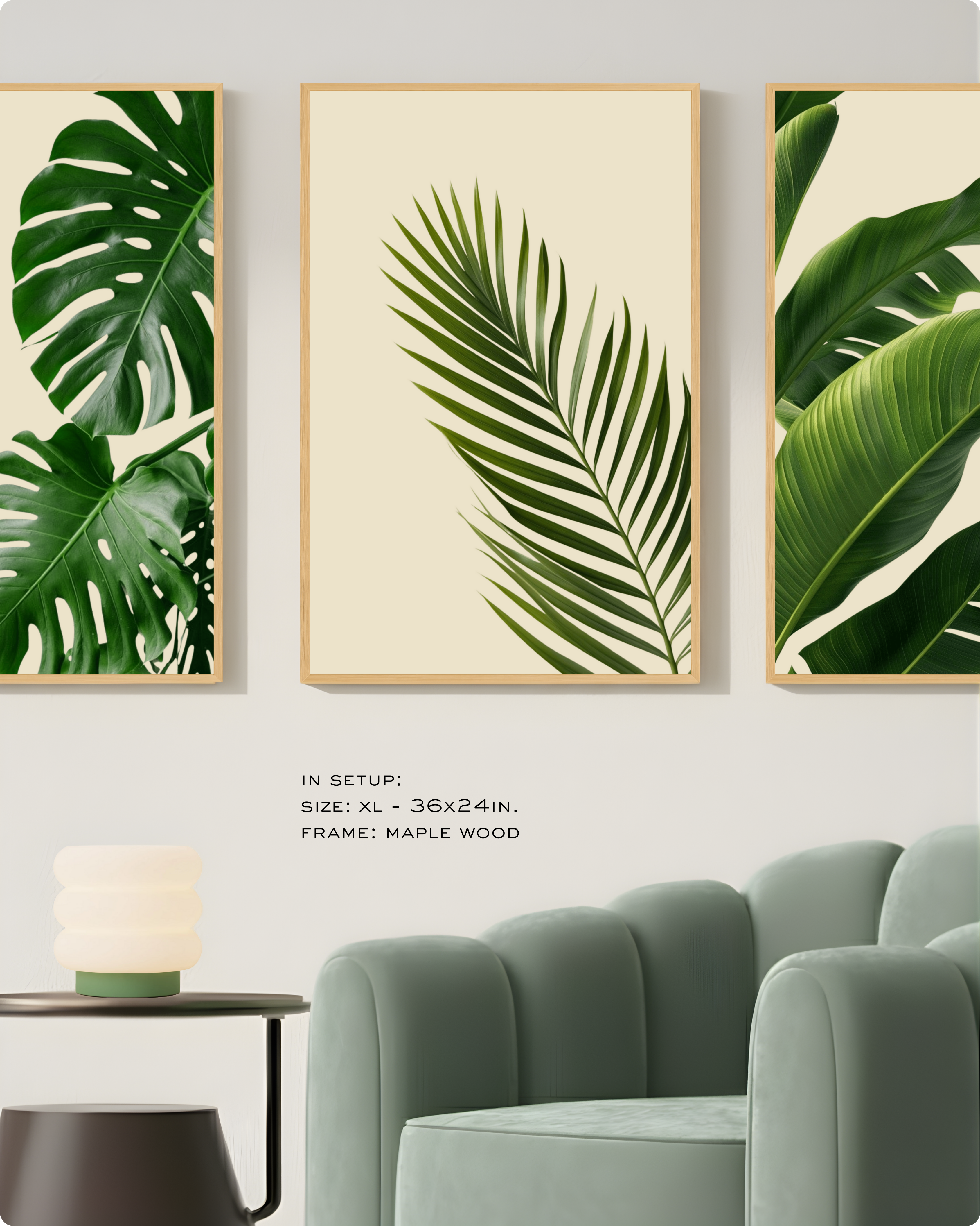 Photography: Houseplants - Collection १