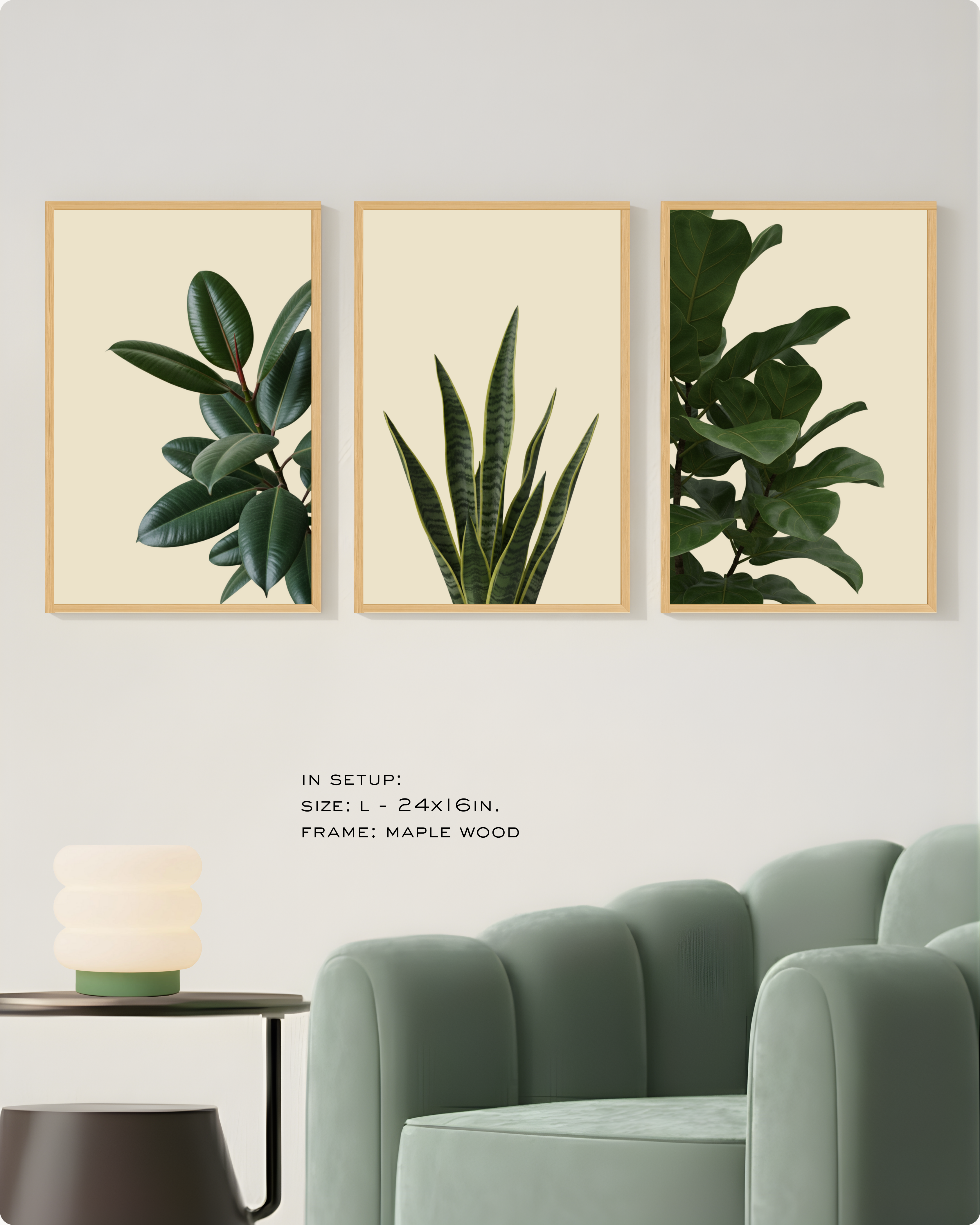 Photography: Houseplants - Collection २