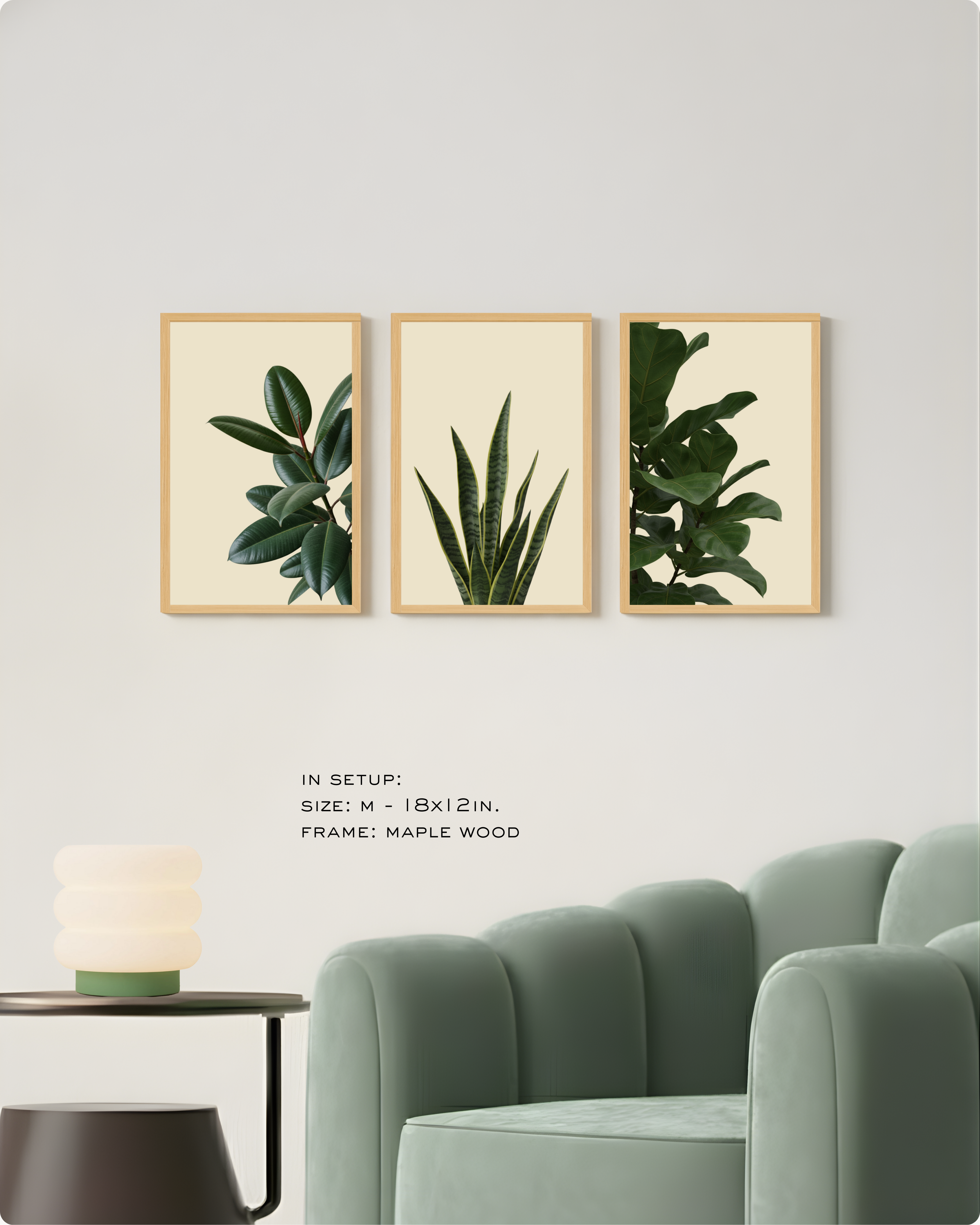 Photography: Houseplants - Collection २