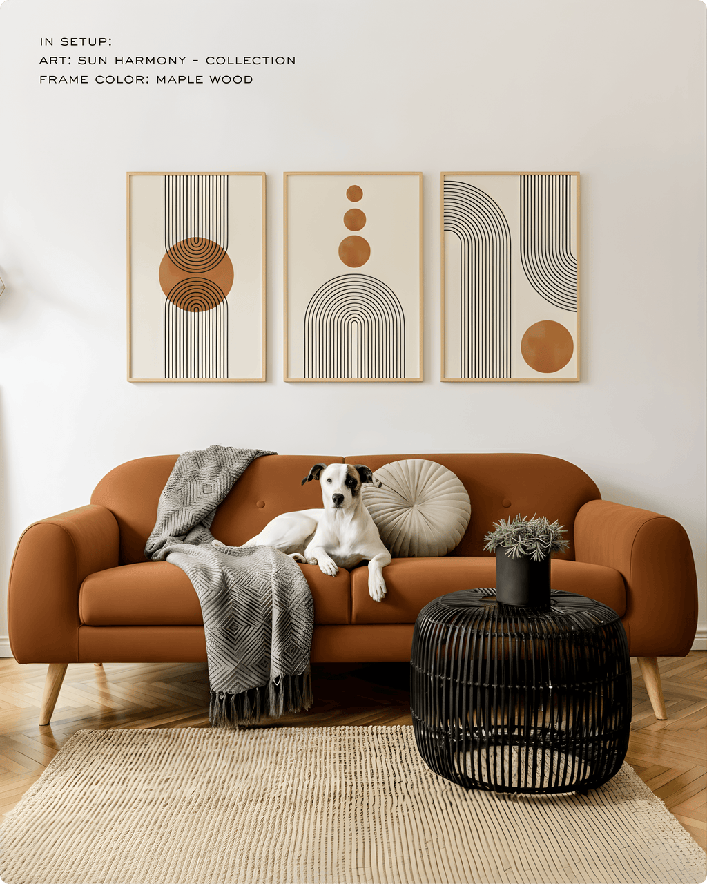 Abstract: Harmony - Collection