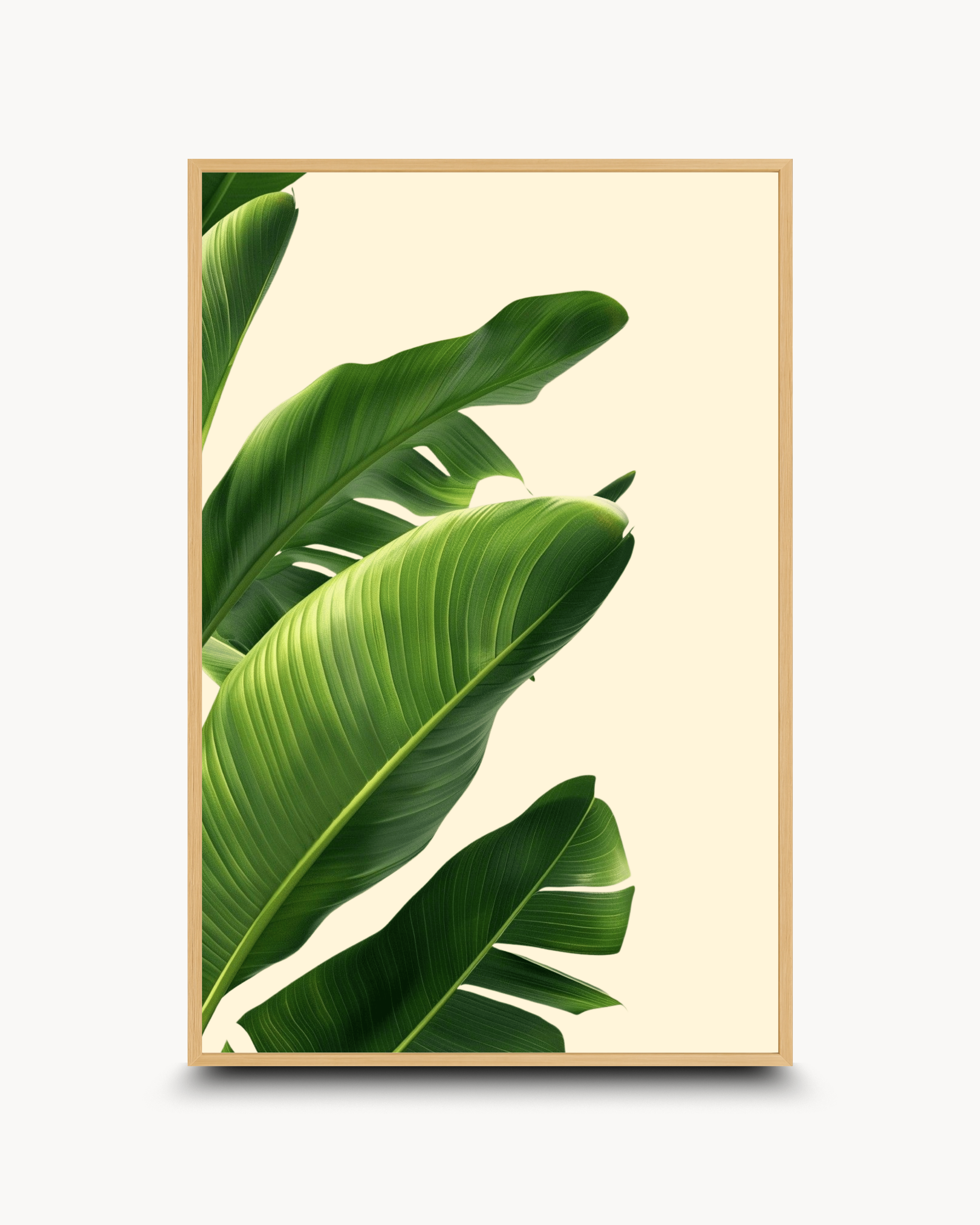 Photography: Houseplants - १