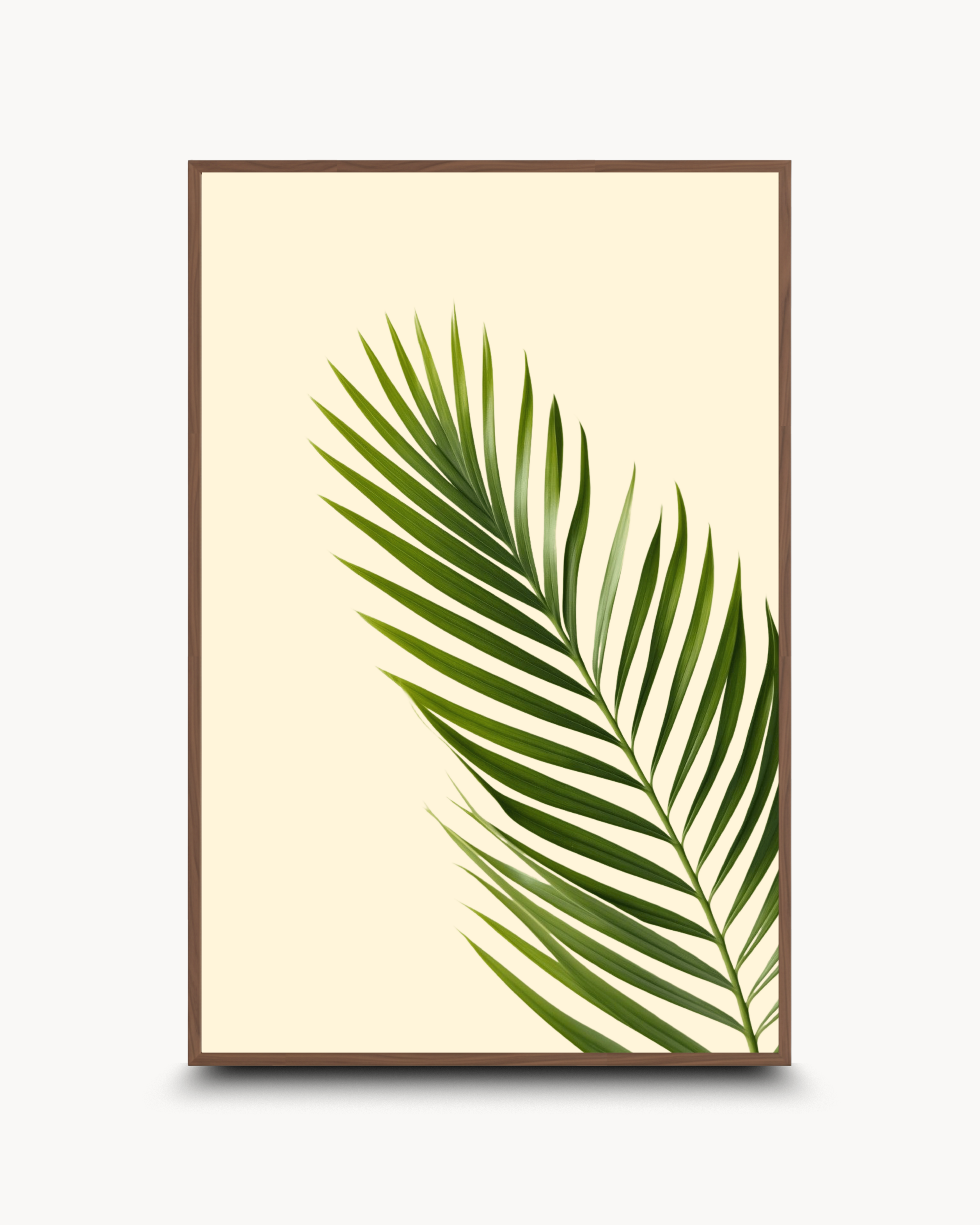 Photography: Houseplants - २