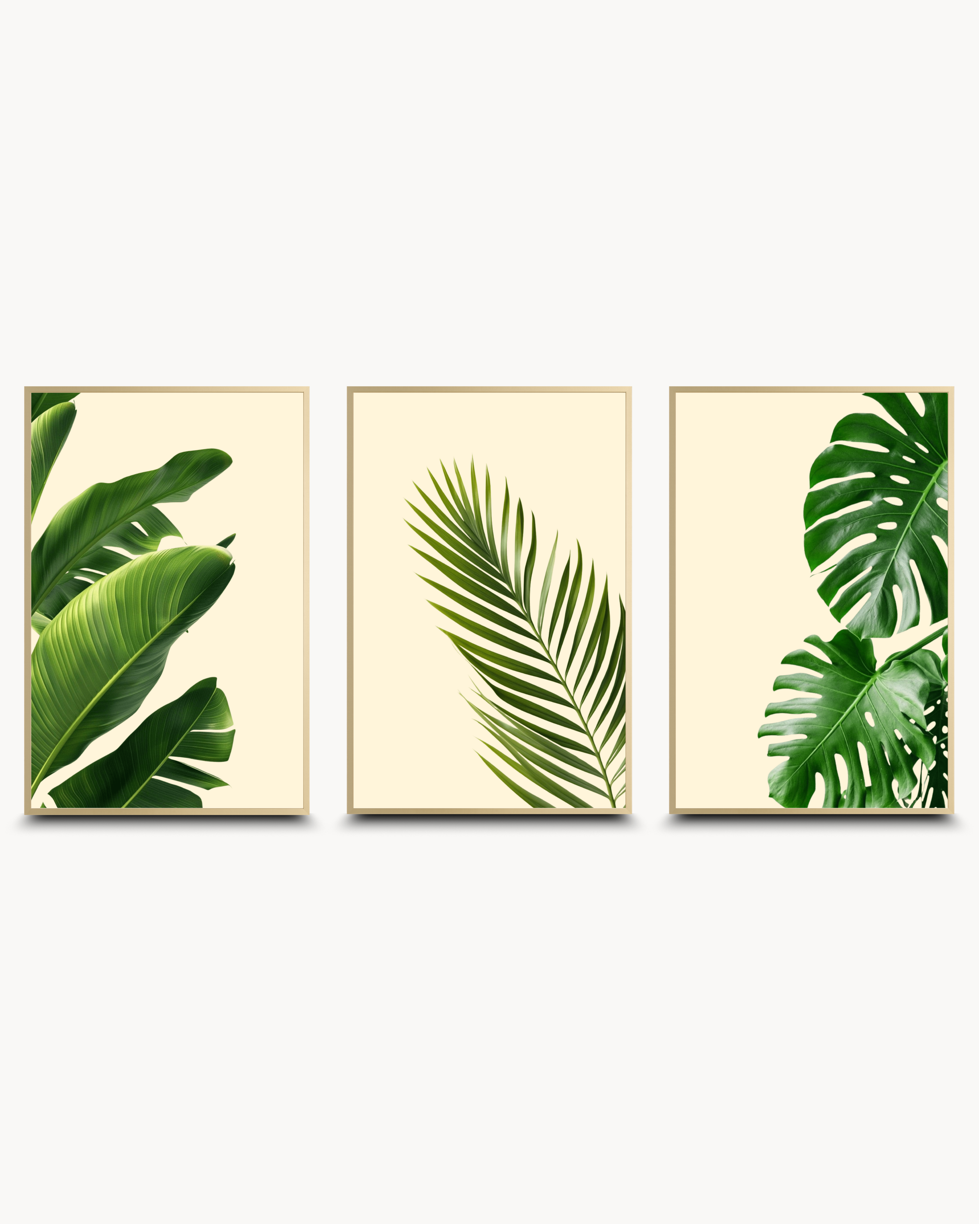 Photography: Houseplants - Collection १