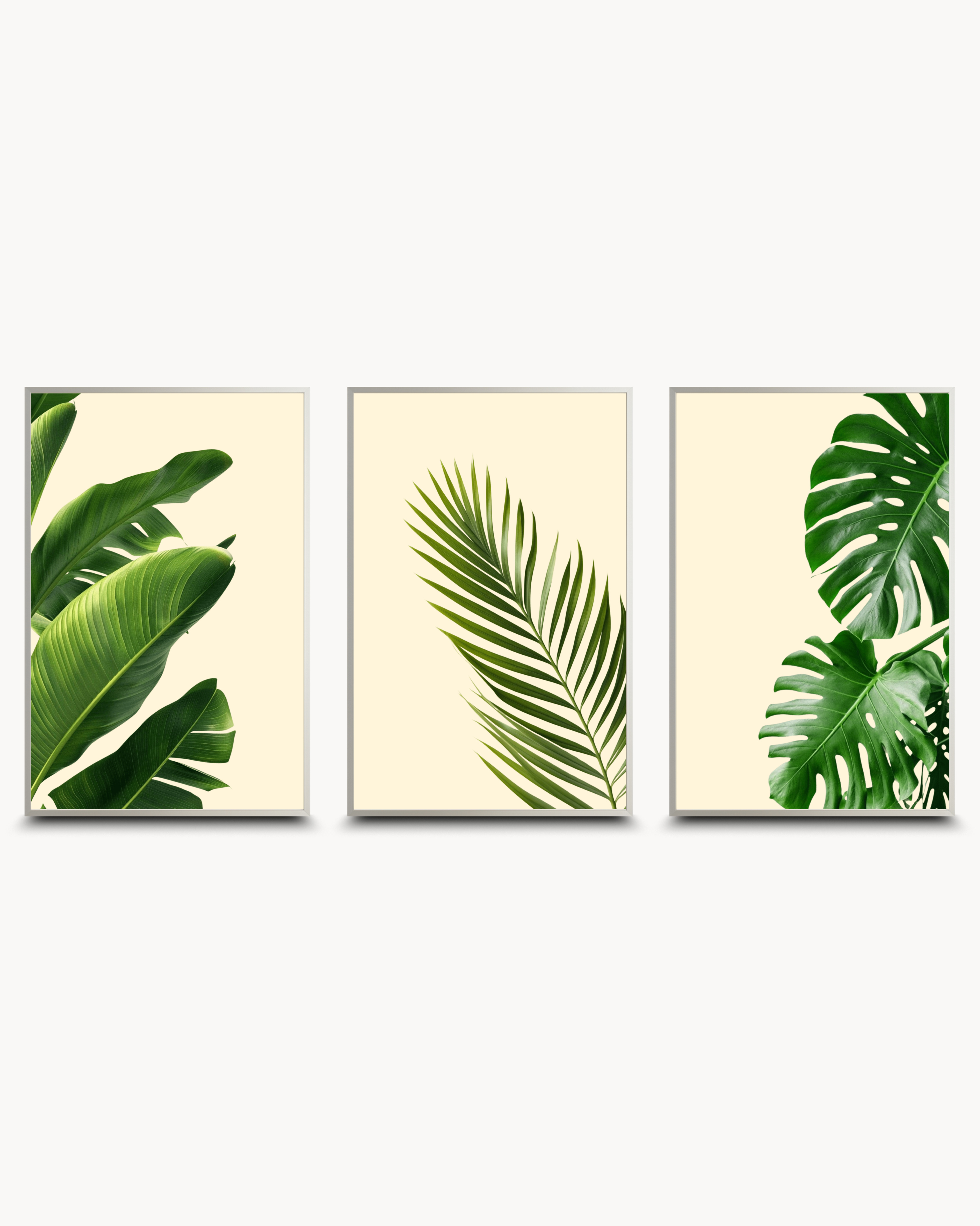 Photography: Houseplants - Collection १