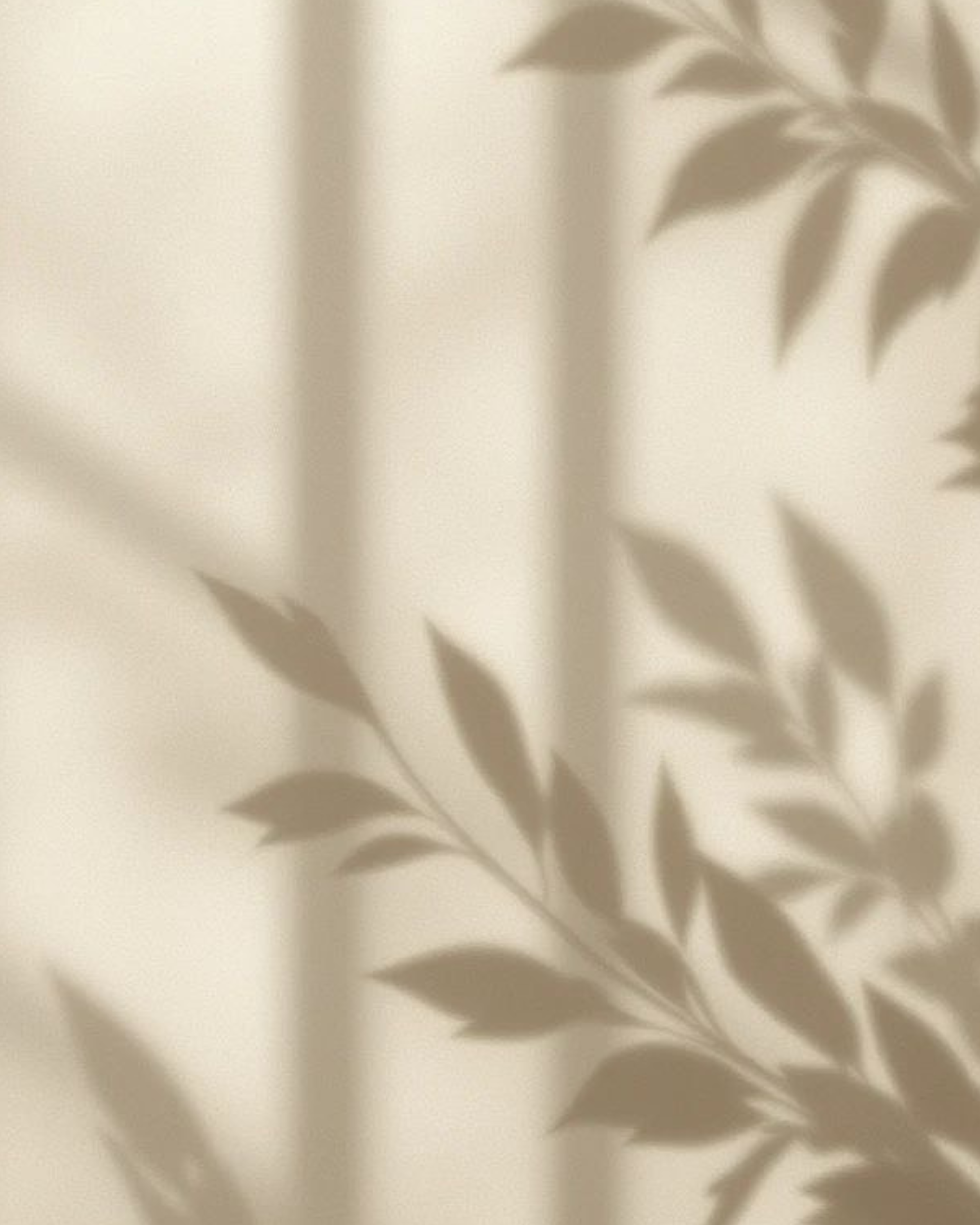 Shadow of leaves on a beige background