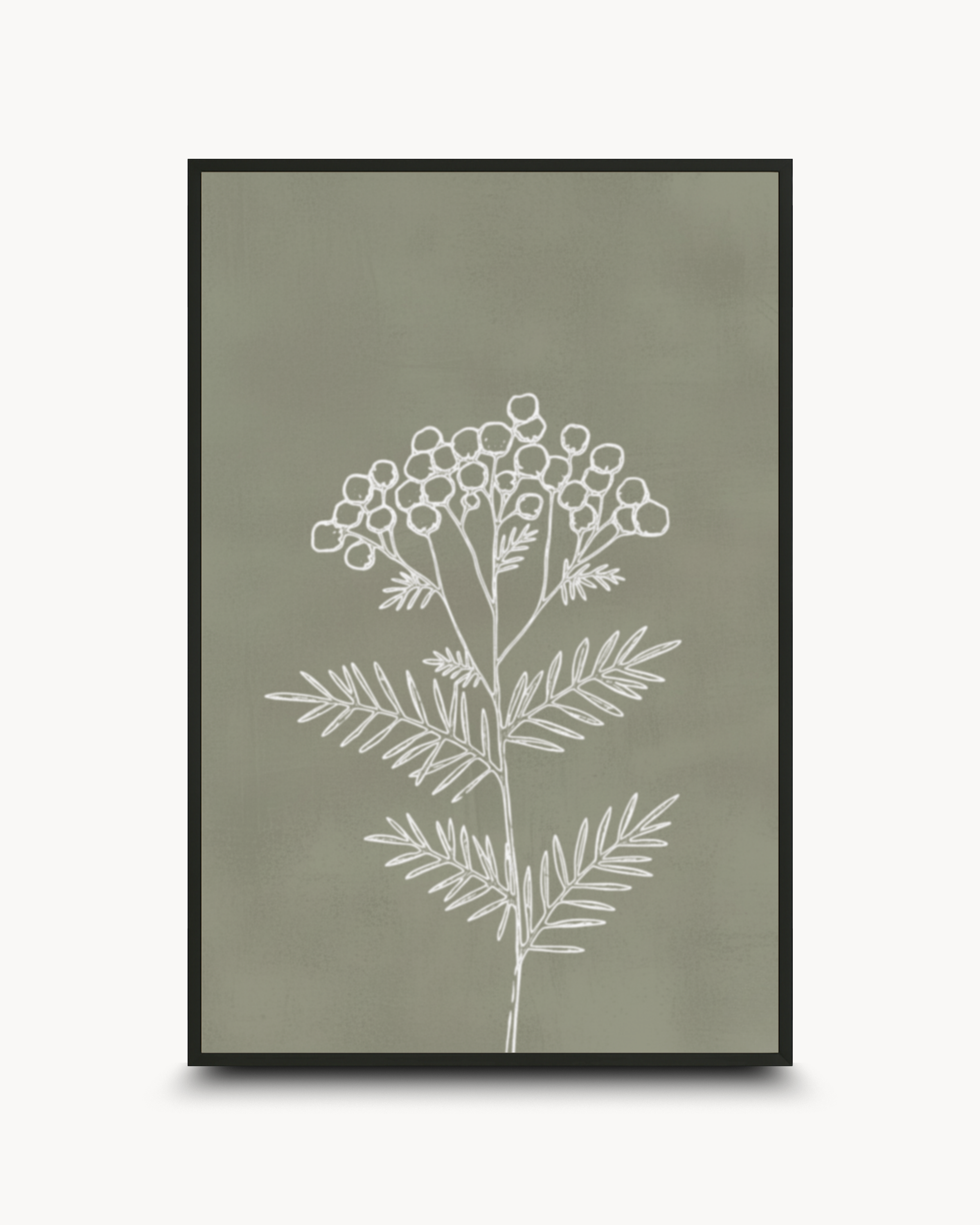 Line Art: Essence - २