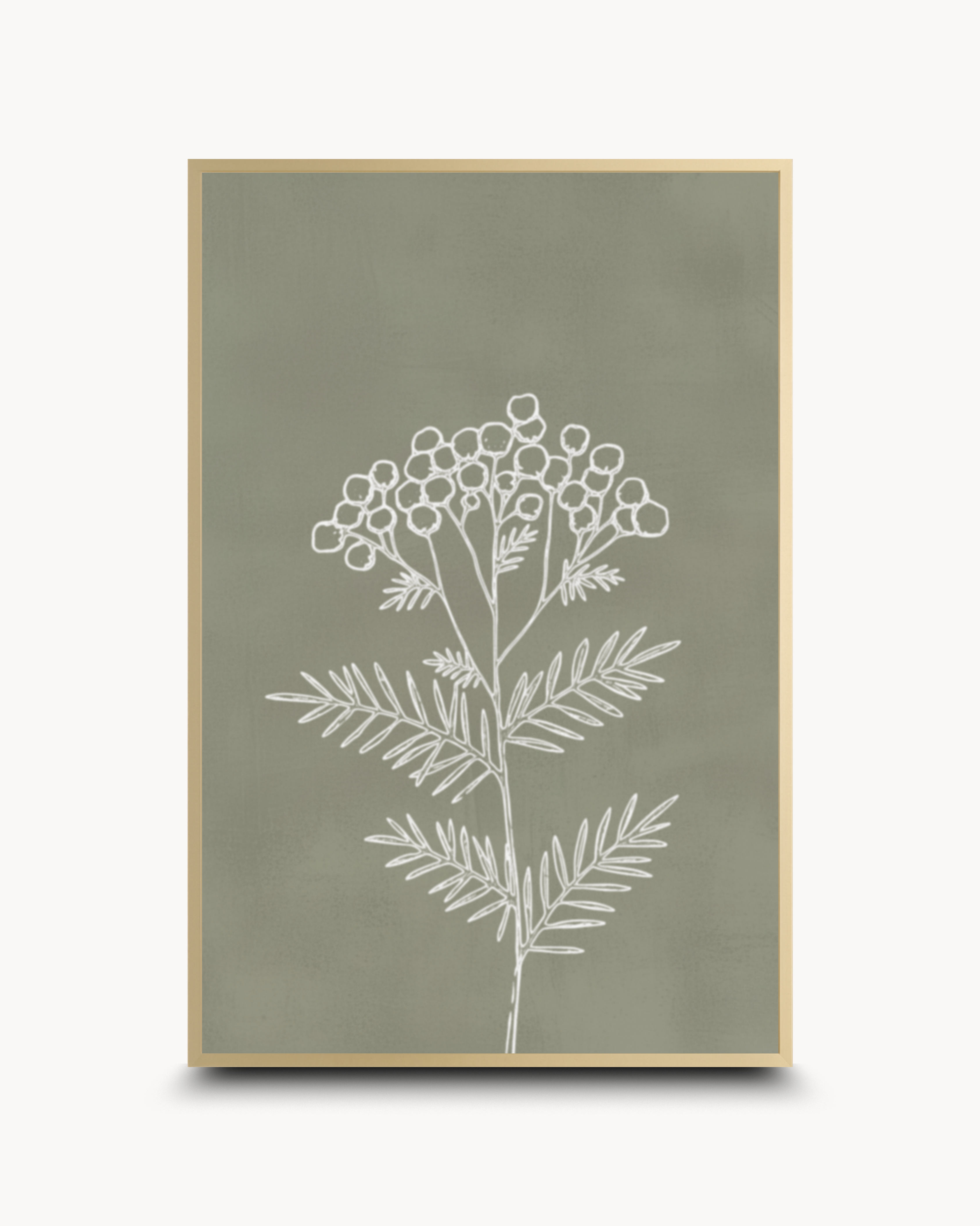 Line Art: Essence - २