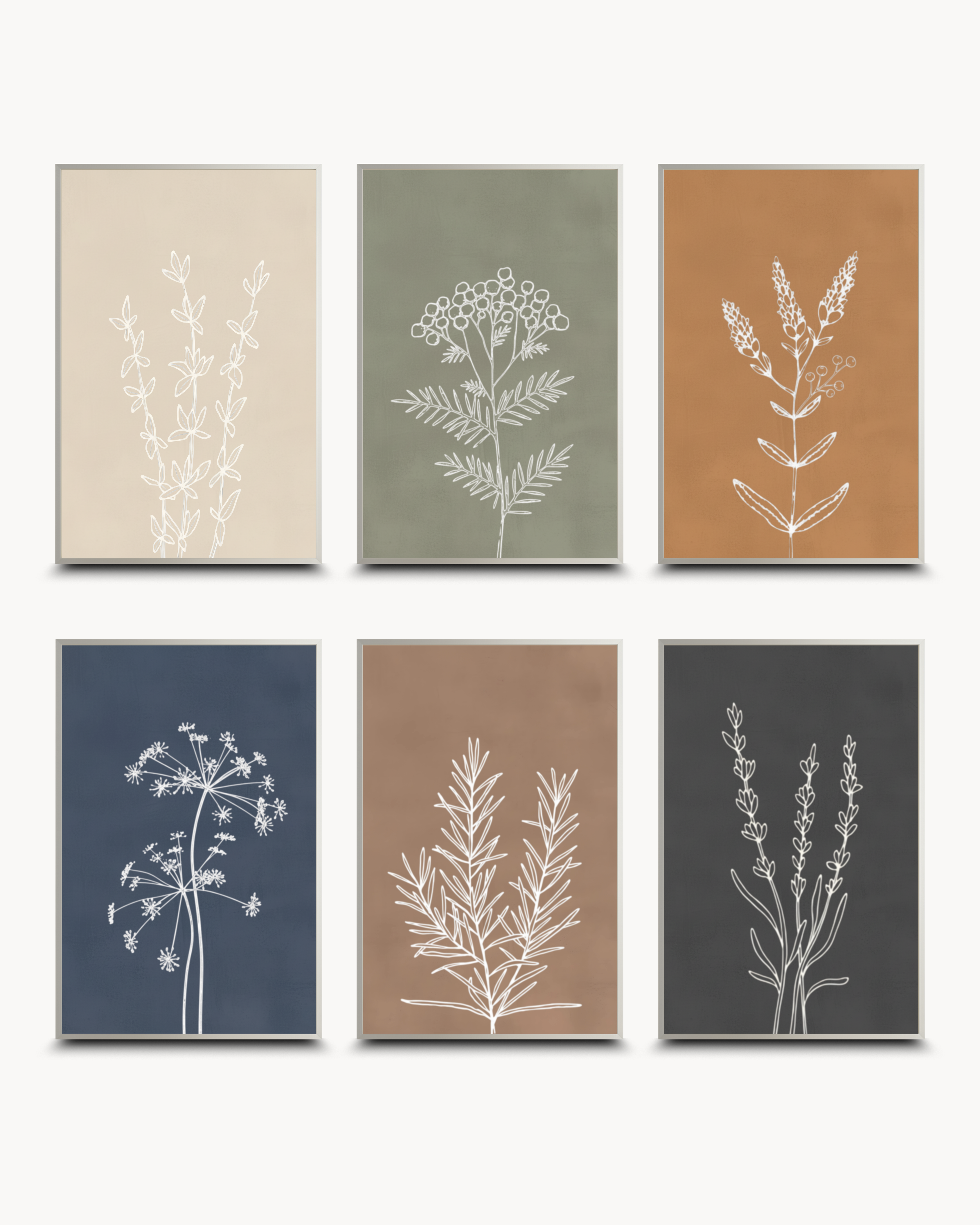 Line Art: Essence - Set of ६