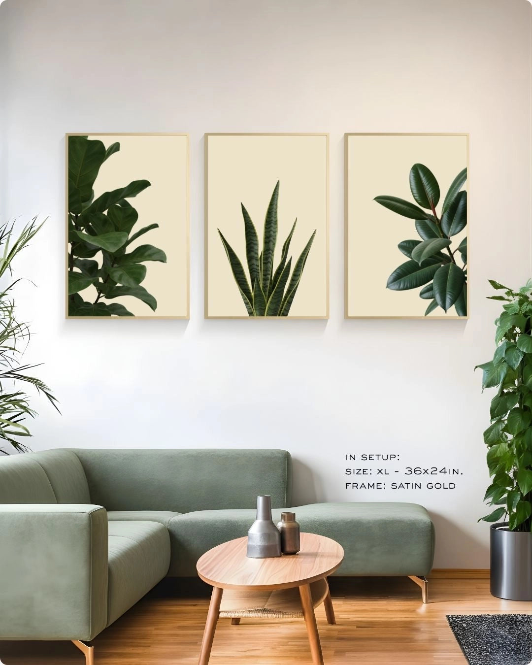Minimalist 3-piece houseplant triptych art set in Satin Gold frames by K2C Co., styled above a modern green sofa.
