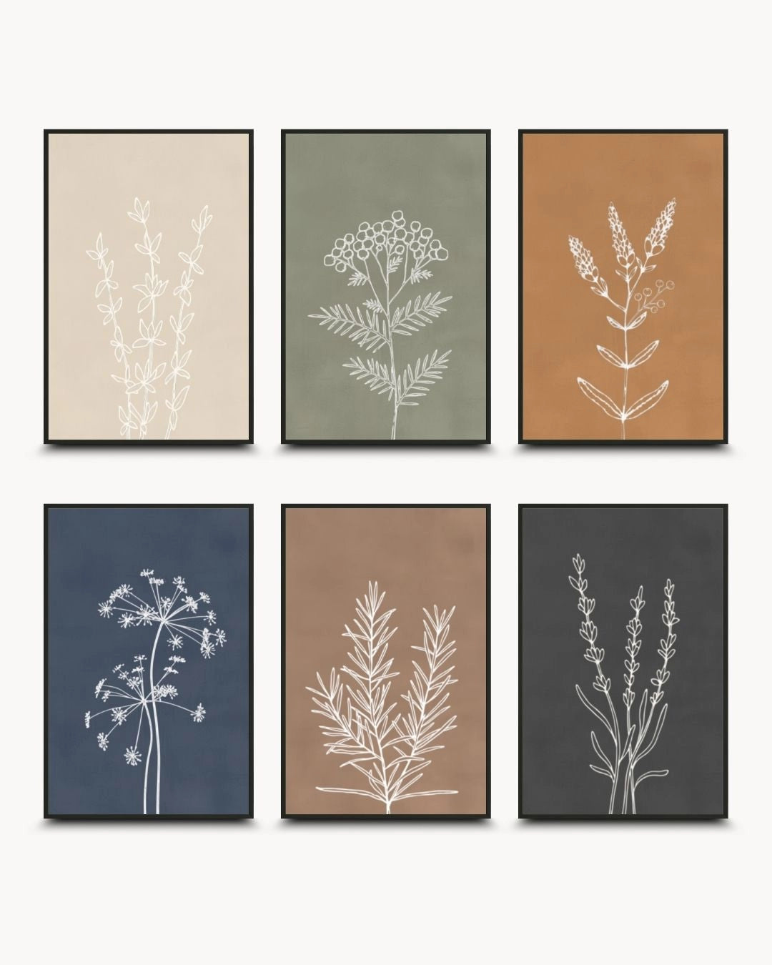 A curated 6-piece minimalist botanical line art gallery wall set by K2C Co. featuring beige, sage, terracotta, navy, mocha, and charcoal prints in Noir Black frames.