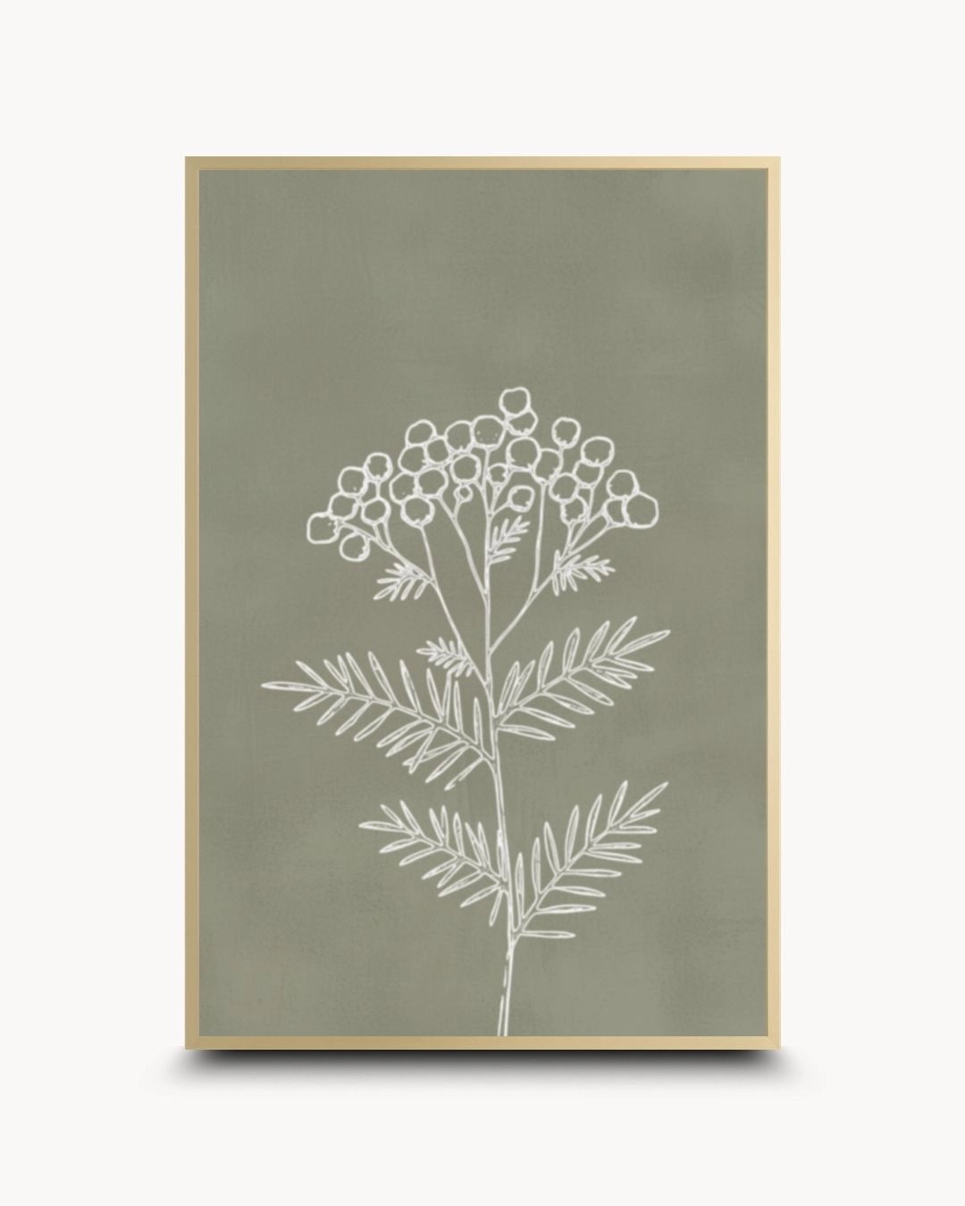 Elegant Essence II botanical line art by K2C Co. in a Satin Gold frame. Features white botanical detailing on a matte sage green finish for a high-end contemporary wall decor statement.