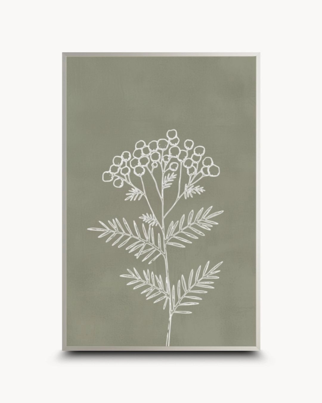 Contemporary minimalist sage green botanical line drawing by K2C Co. in a sleek Satin Silver frame. A sophisticated, neutral piece for modern urban apartment styling.