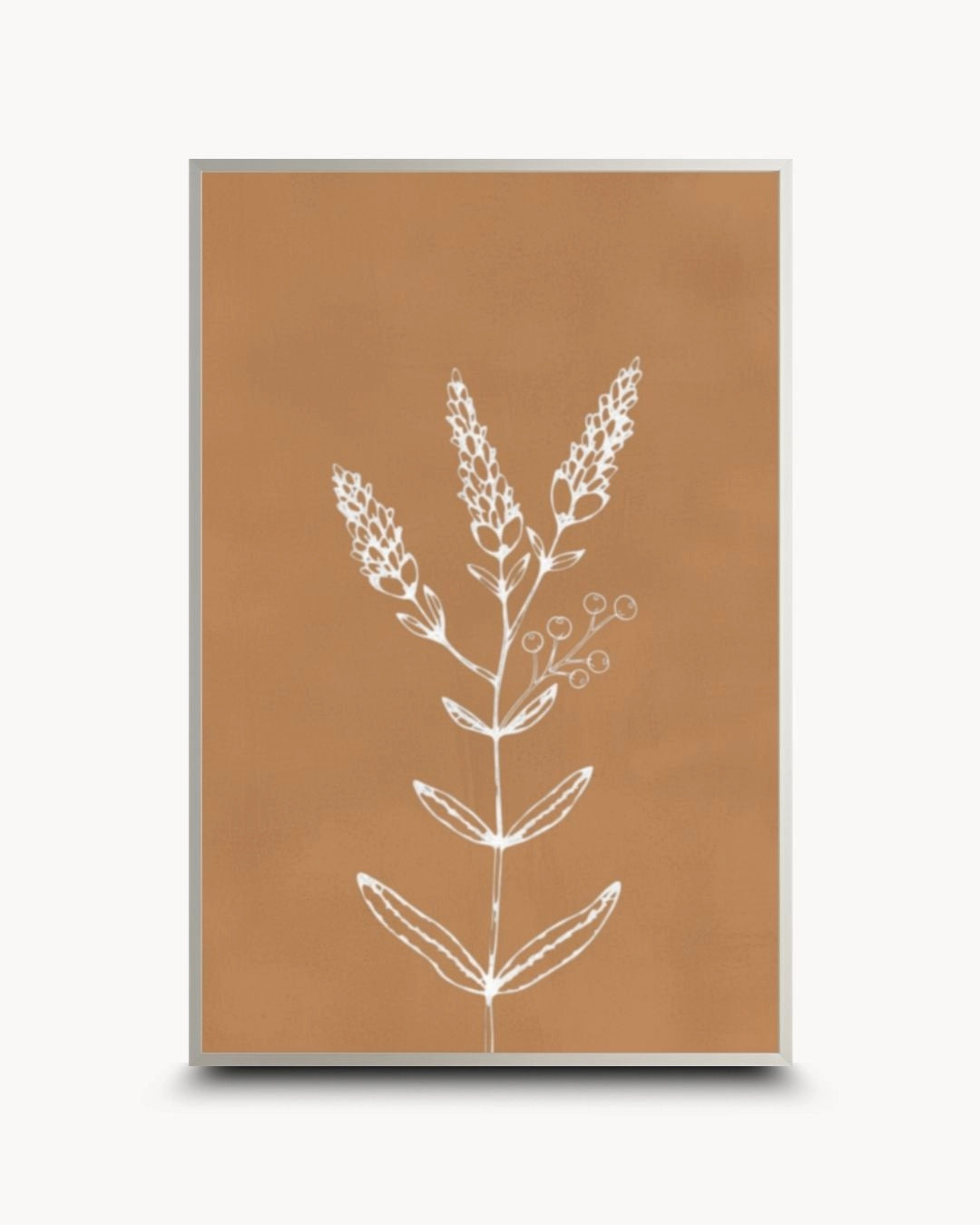 Contemporary minimalist terracotta botanical line drawing by K2C Co. in a sleek Satin Silver frame. A sophisticated, earthy piece for modern urban apartment styling.