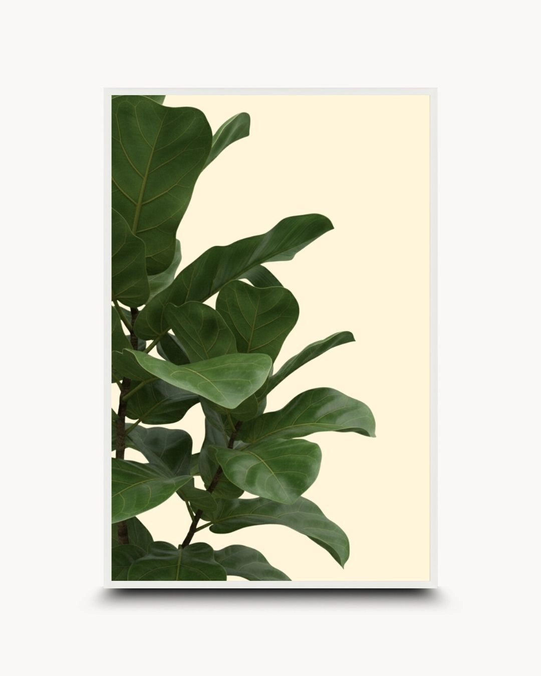 K2C Co. tropical fiddle leaf fig artwork in a Moon White frame. A clean, minimalist botanical print on a neutral background, perfect for a bright Japandi-style living room or modern office.