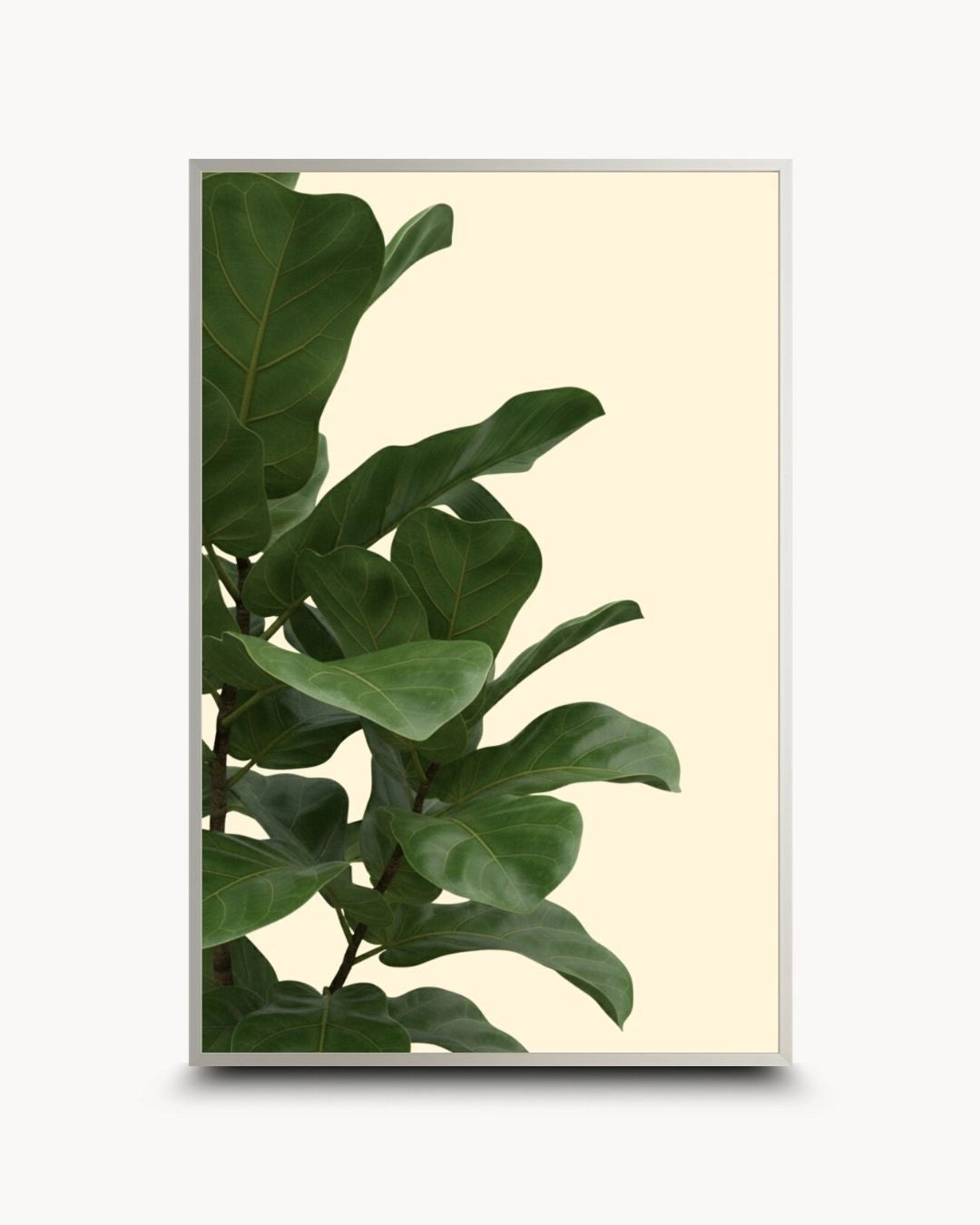 Modern minimalist tropical fiddle leaf fig botanical artwork by K2C Co. in a sleek Satin Silver frame. Clean green leaf design on a neutral background, ideal for contemporary urban home styling.