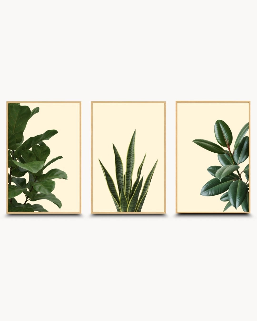 Minimalist 3-set botanical houseplant wall art by K2C Co. in natural Maple Wood frames. Features green leaf designs of popular houseplants for a light and airy Scandinavian interior.