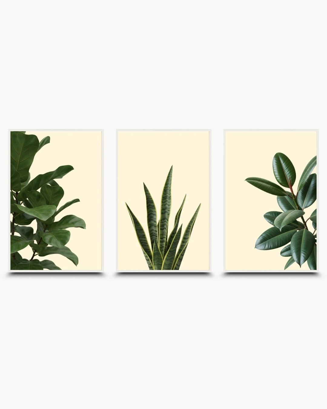 K2C Co. 3-piece minimalist houseplant gallery wall set in Moon White frames. Includes abstract green leaf prints of a Fiddle Leaf, Snake Plant, and Rubber Plant for Japandi decor.