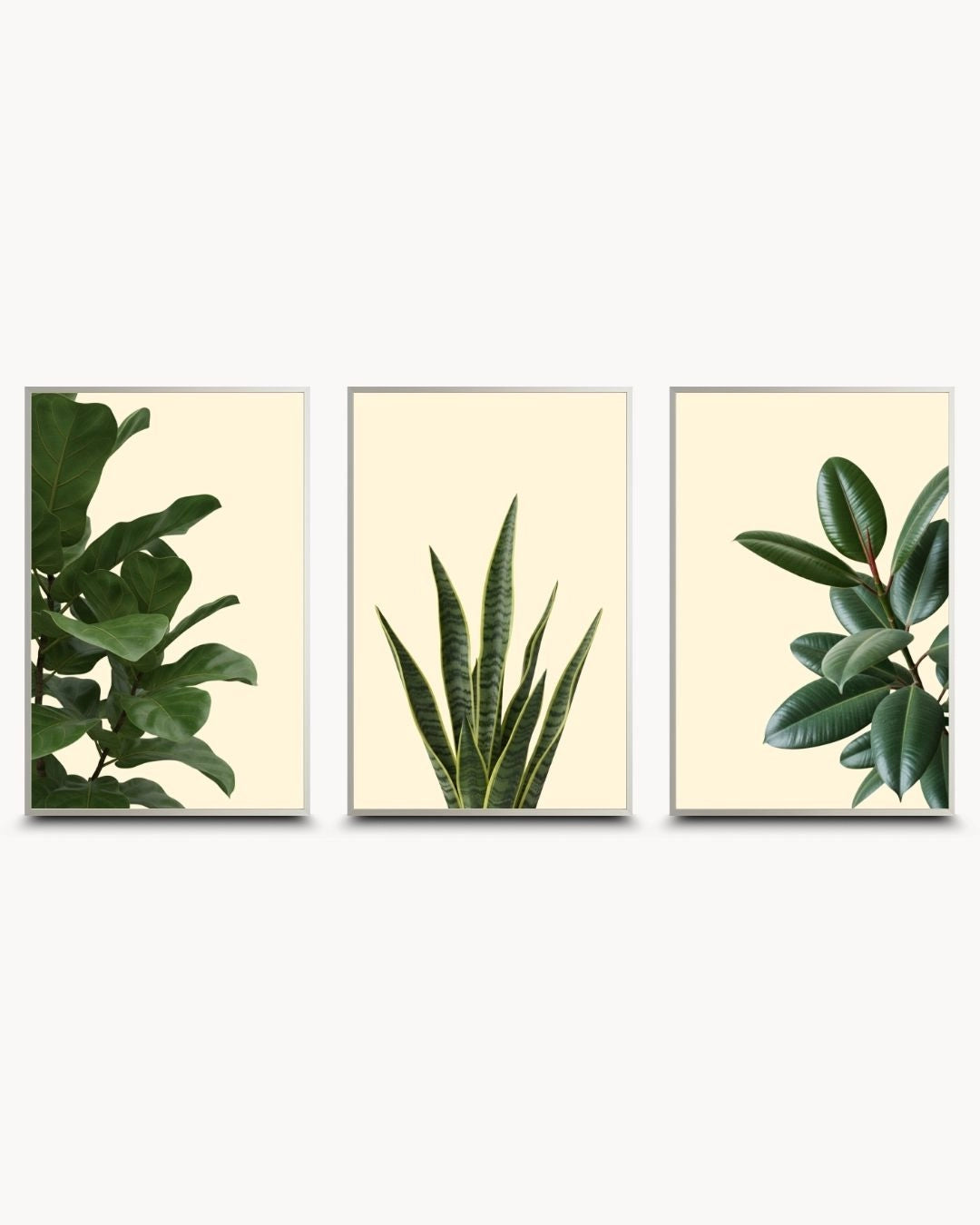 Modern minimalist 3-piece botanical houseplant gallery wall set by K2C Co. in sleek Satin Silver frames. Clean green leaf designs perfect for contemporary urban or office decor.