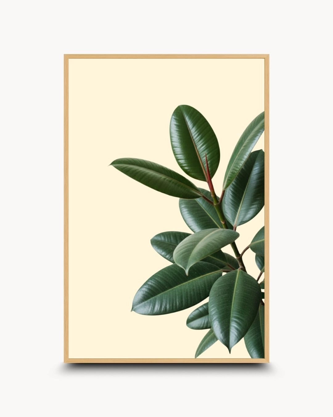 Minimalist green rubber plant artwork by K2C Co. in a natural Maple Wood frame. High-quality botanical canvas print featuring Ficus elastica leaves, bringing a soft natural touch to minimalist interiors.