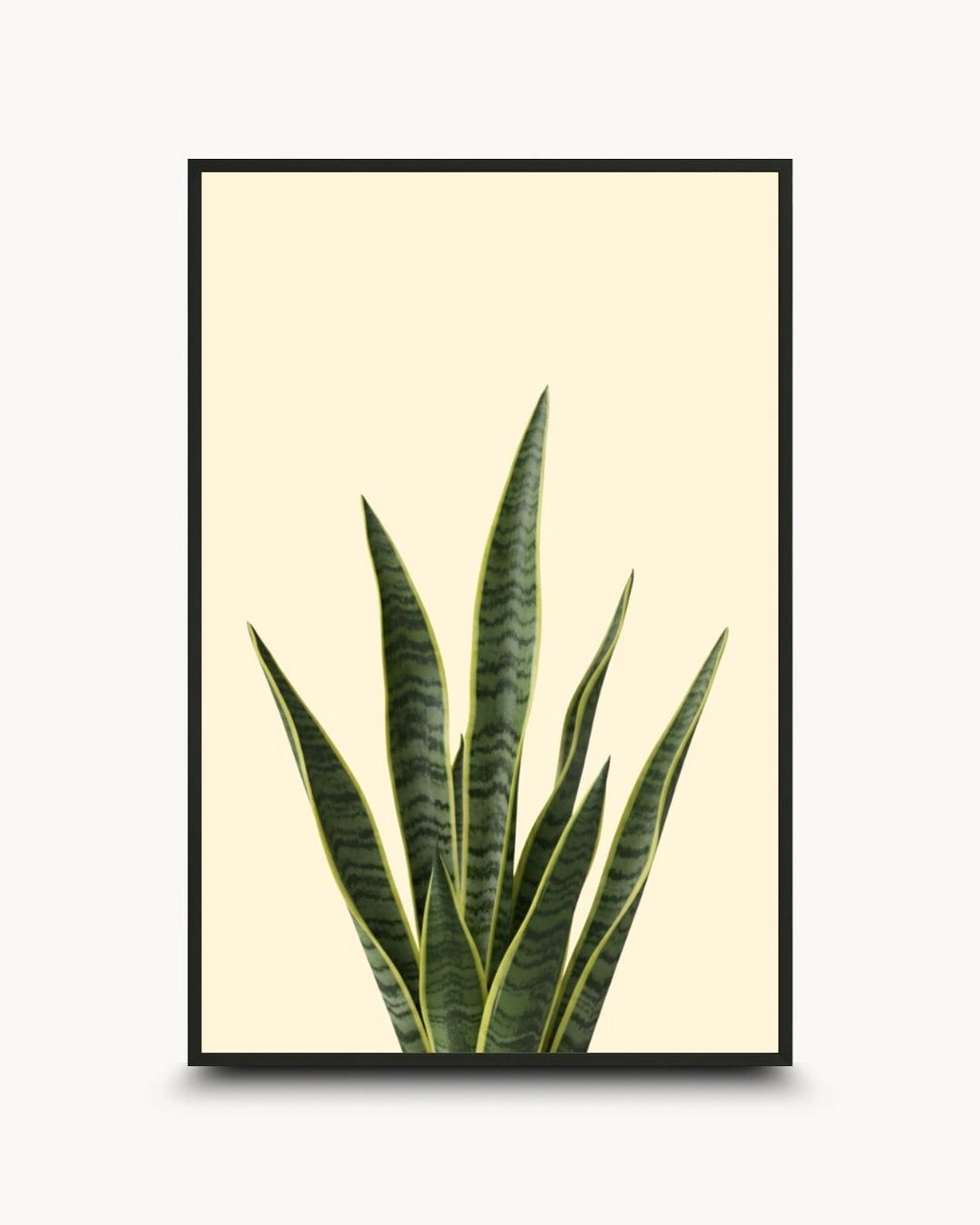 Minimalist botanical snake plant artwork by K2C Co. featuring upright green and yellow Sansevieria leaves on a cream background, set in a Noir Black frame. Ideal for modern Scandinavian home decor.