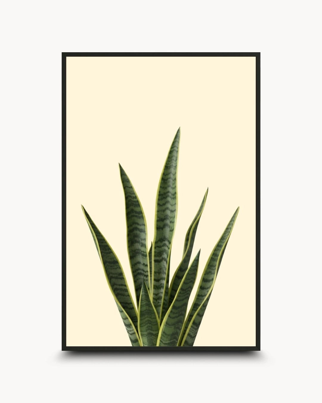 Minimalist botanical snake plant artwork by K2C Co. featuring upright green and yellow Sansevieria leaves on a cream background, set in a Noir Black frame. Ideal for modern Scandinavian home decor.