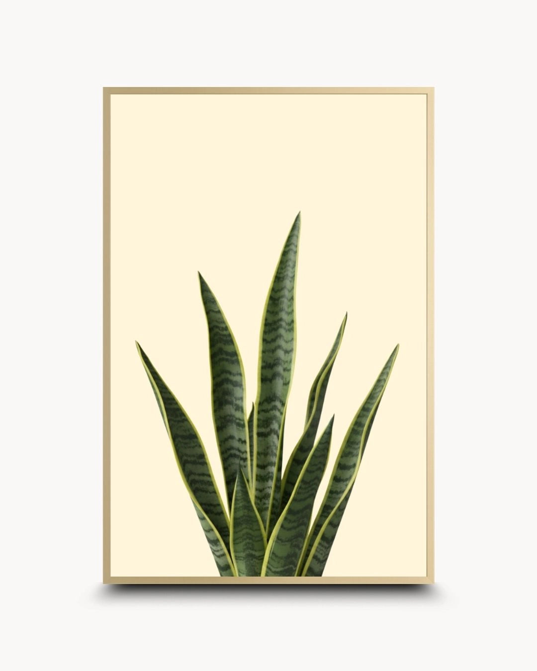 K2C Co. minimalist botanical snake plant artwork in an elegant Satin Gold frame. Features vibrant Sansevieria leaves on a neutral cream background for a luxury modern wall decor look.
