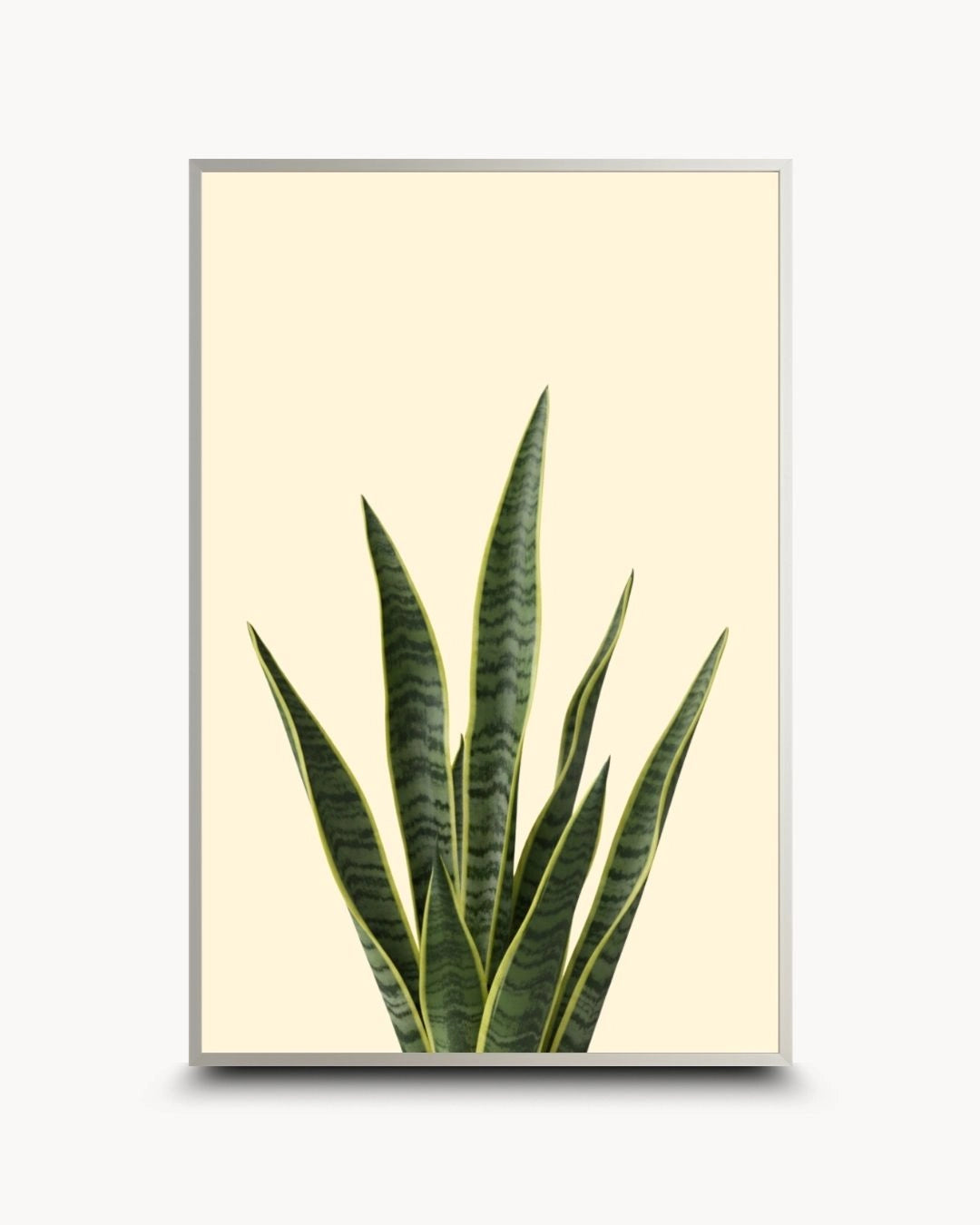 Modern minimalist snake plant botanical artwork by K2C Co. in a sleek Satin Silver frame. Clean Sansevieria leaf design on a neutral background, ideal for contemporary urban home styling.