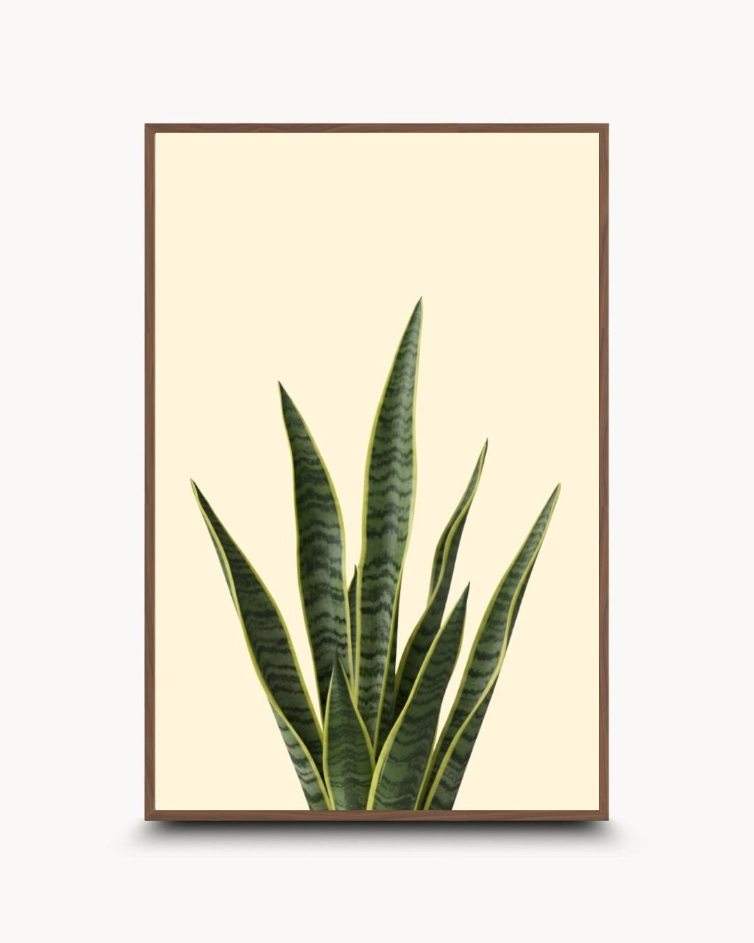 Japandi style botanical wall art featuring a snake plant in a warm Walnut Wood frame by K2C Co. Minimalist nature-inspired artwork for a sophisticated modern bedroom wall.