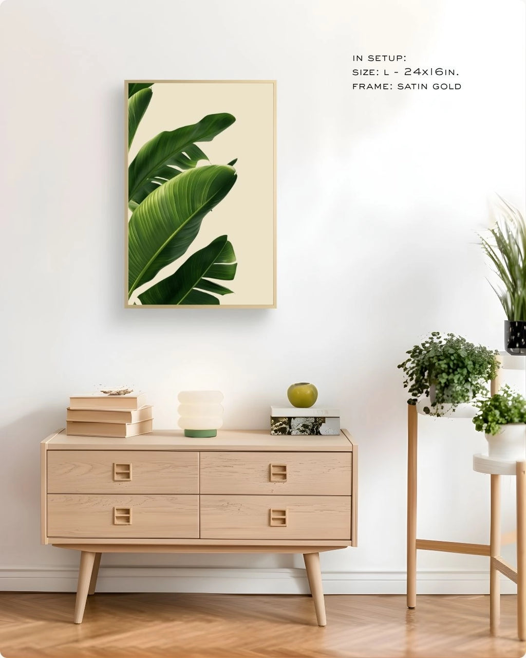 Photography: Houseplants - १