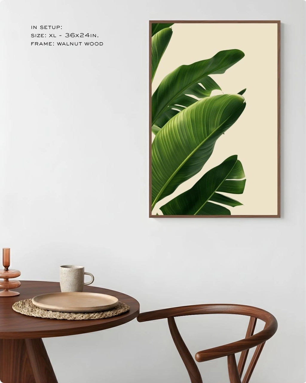 Photography: Houseplants - १