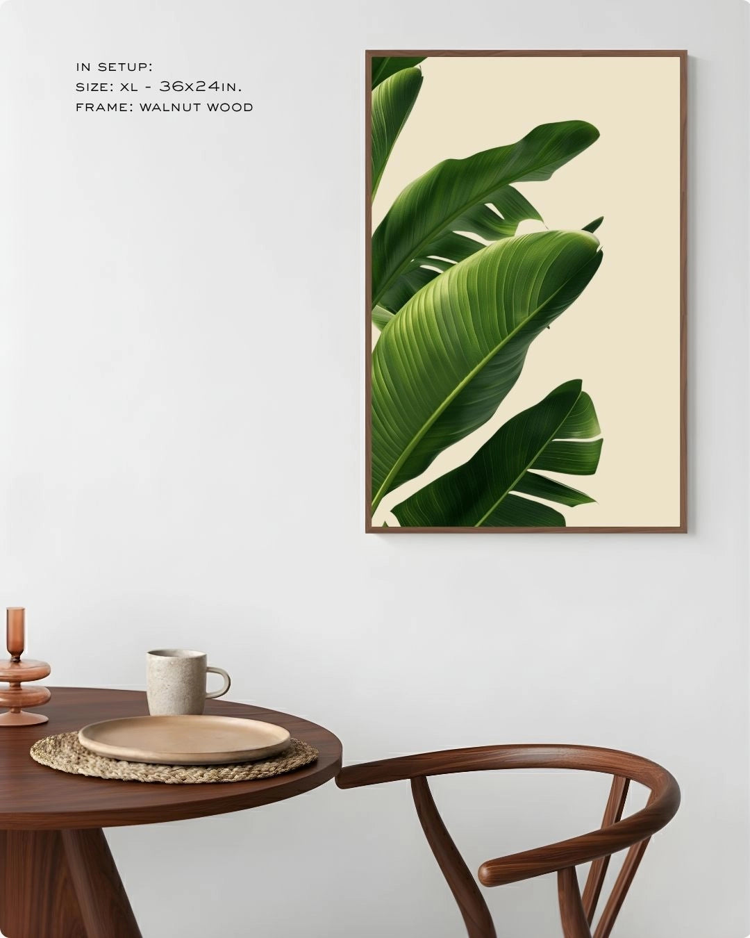 Photography: Houseplants - १